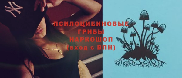 бошки Козельск