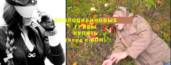 бошки Козельск